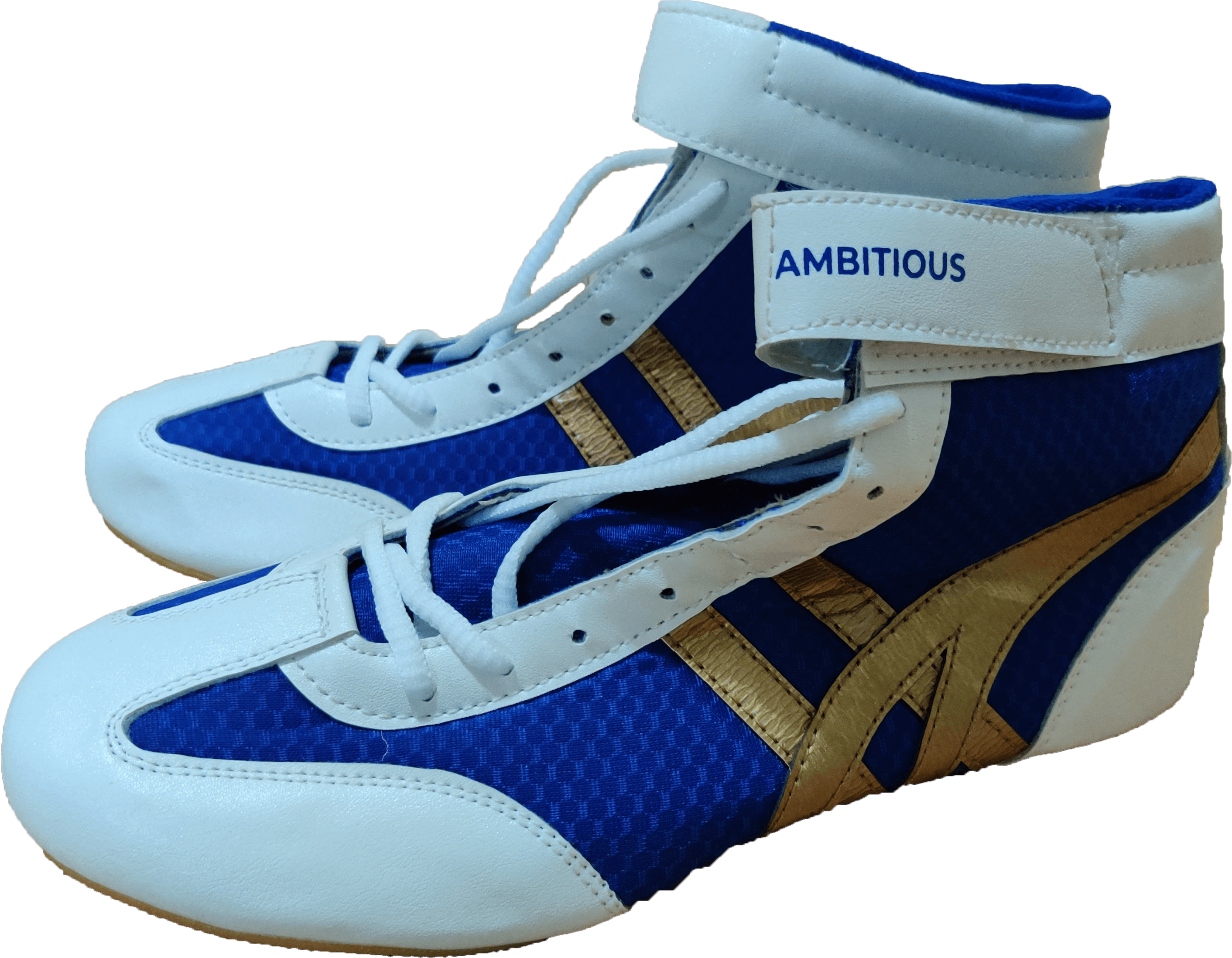 Ambitious Wrestling Shoes - Singh Sporting Goods